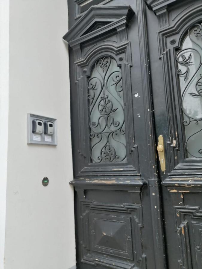 Vienna Comfort Apartments - Borschkegasse 12 Dış mekan fotoğraf